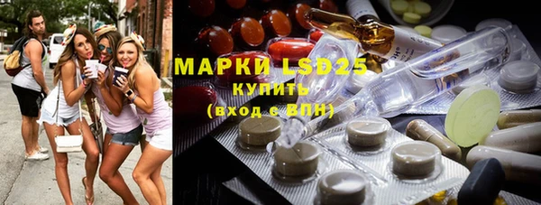 ГАЛЛЮЦИНОГЕННЫЕ ГРИБЫ Рославль