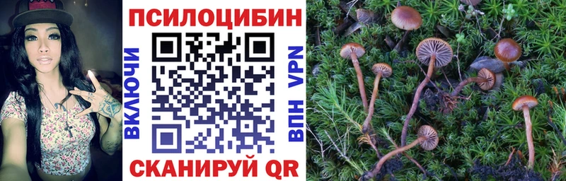 Псилоцибиновые грибы Magic Shrooms  цена наркотик  Шиханы 