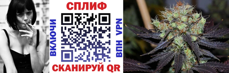 Шишки марихуана тримм  блэк спрут зеркало  Шиханы 